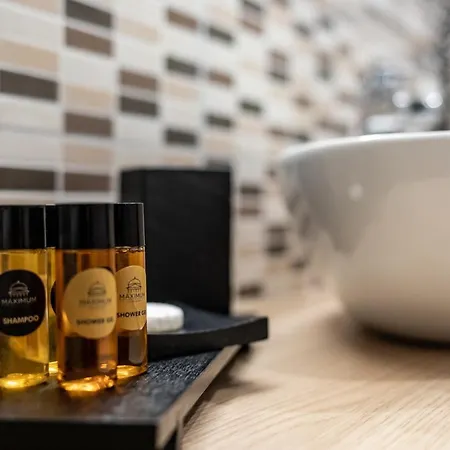 לינה וארוחת בוקר Maximum &